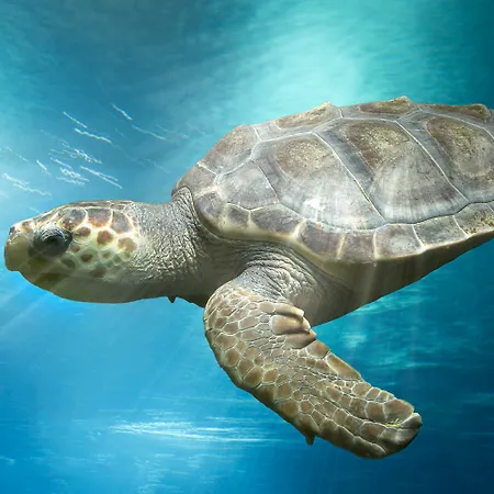 Szálloda Marineland Antibes
