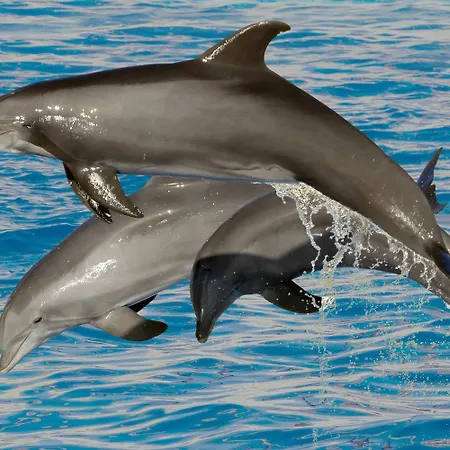 Szálloda Marineland 3*